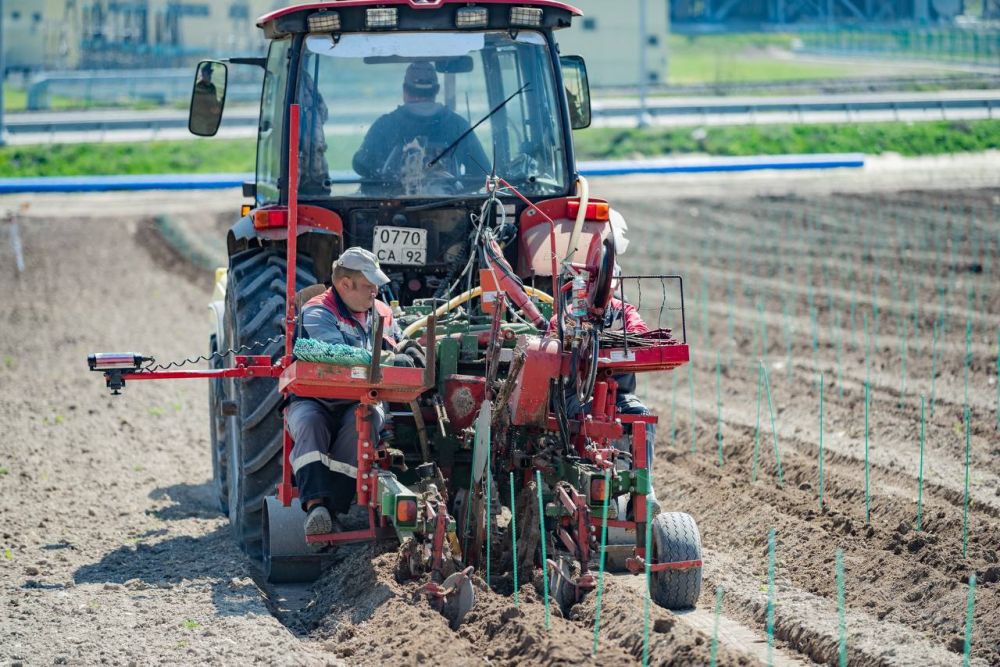 2,5 ���� ������ �������� ��������� � ������������ ����������� �� 10 ���