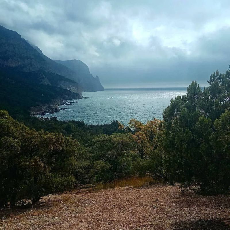 �������� ������������ ��������� ������� ��������������� �����