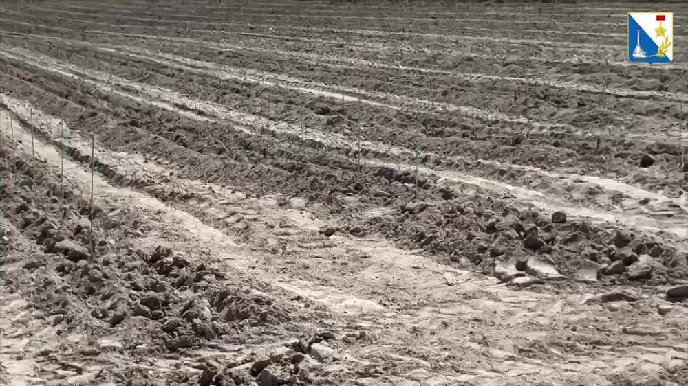 �� 10 ��� ����������� � �������� ����������� �������� 2,5 ���� ������ ������������