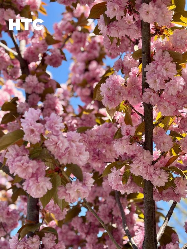 #��������. �� ������� �������� ����� ����� ������