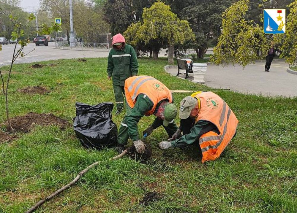 ���������� ������� � ������� �������� 8 ����� �� ����� ����������, � �������� ��������� 17-�� �����������