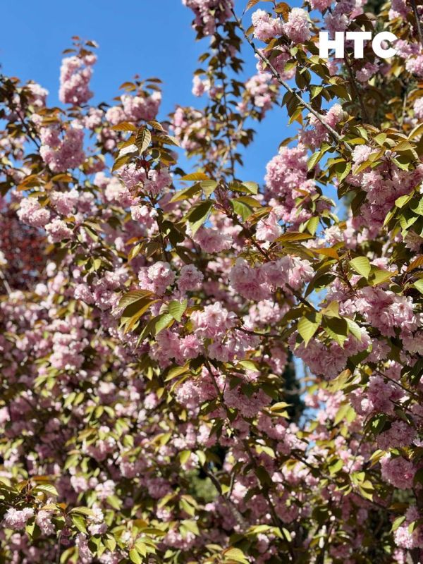 #��������. �� ������� �������� ����� ����� ������