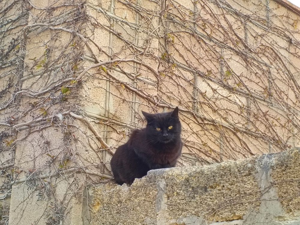 ������� ������ � ����� �� 24 ������