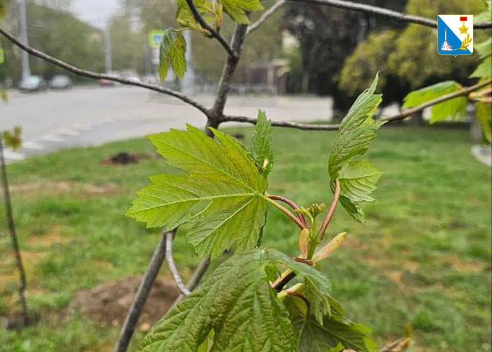 ���������� ������� � ������� �������� 8 ����� �� ����� ����������, � �������� ��������� 17-�� �����������