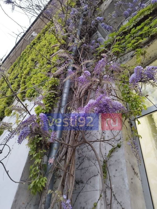 ������ ����, �����������! �������� ����� ��� ��� �� ��������