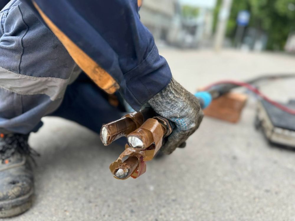 ������������������ �������� �������� ����������� � ��������� ����� � �� 49%