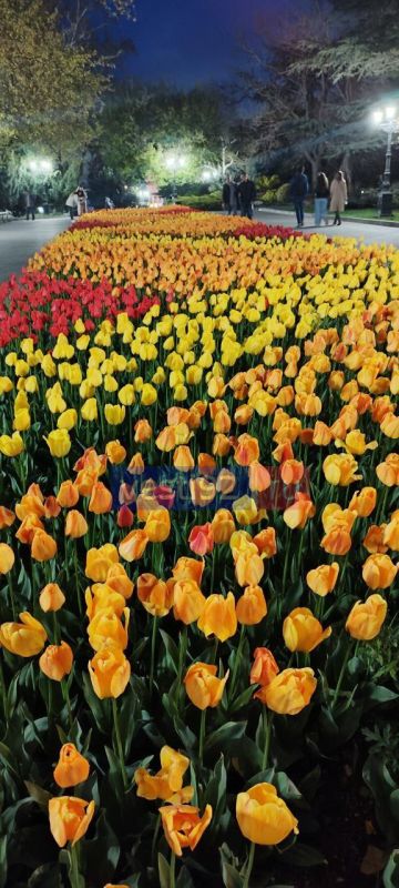 ������ ����, �����������! �������� ����� ��� ��� �� ��������