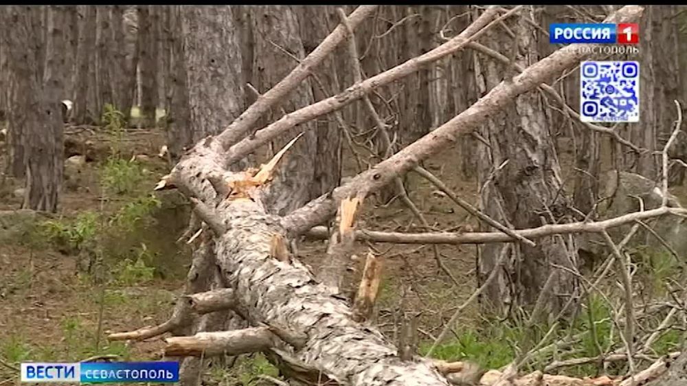 � ����� ����������� �������� ����� �� ������������ �������