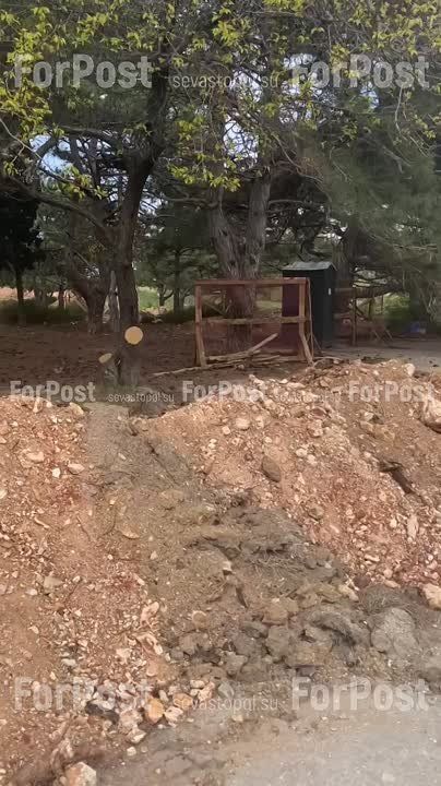 #���_�����. ������������� � ����� ������ ������������