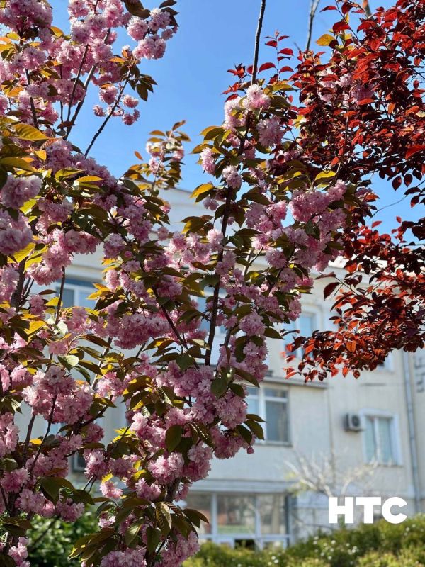 #��������. �� ������� �������� ����� ����� ������