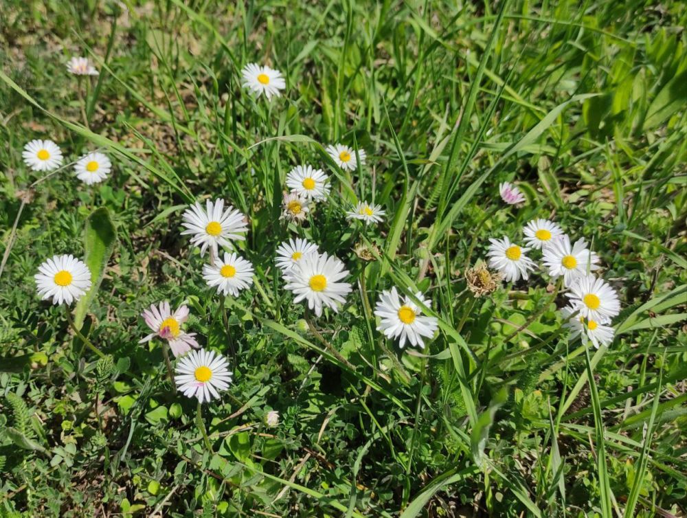 � ������ ����� ��������!. � ����������� ���������� ����������