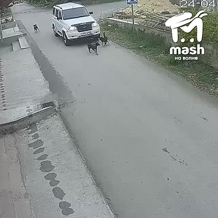 ����������� �������� ������ � �����������