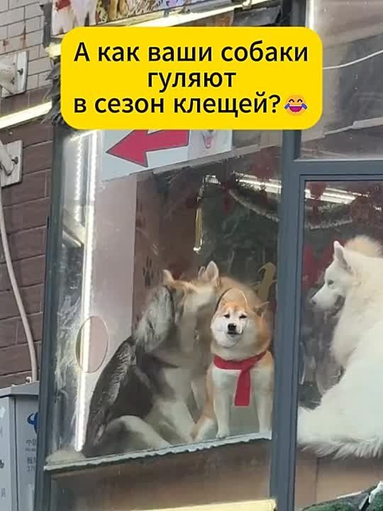 ������� ���� � �������: ��� �� ���������� ����� ����� �������� � ���� ��� �����