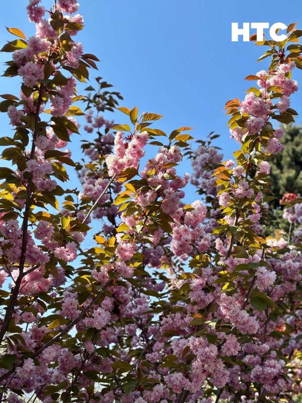 #��������. �� ������� �������� ����� ����� ������