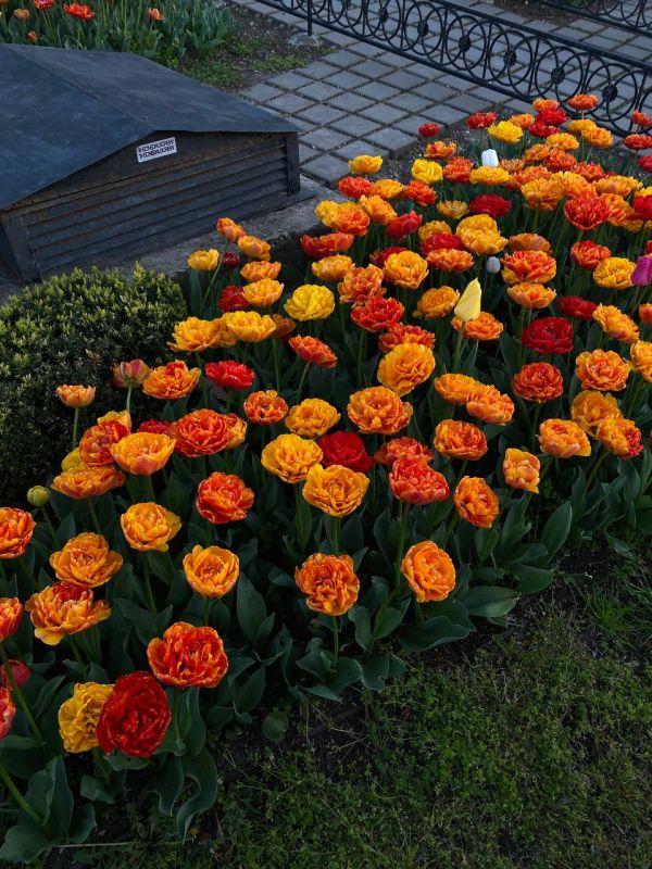 � ����������� ���������� ����������, ��� ������������ �������