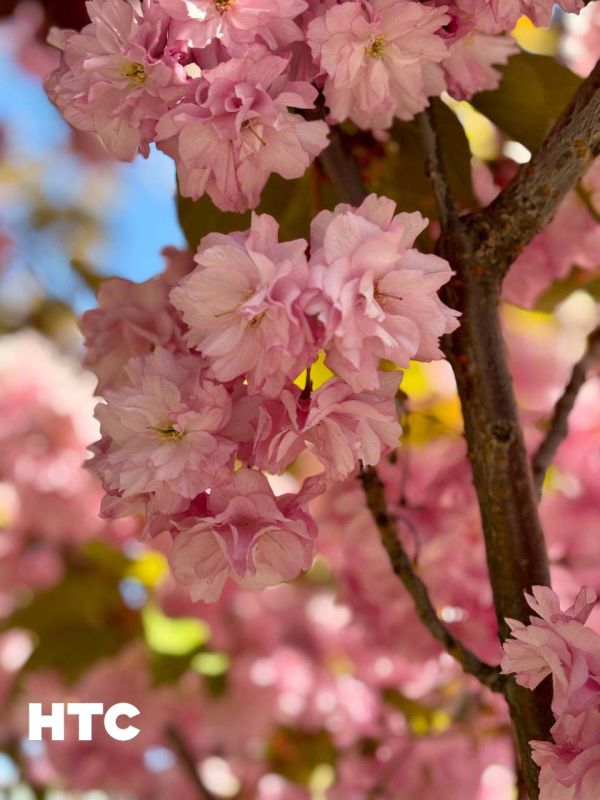 #��������. �� ������� �������� ����� ����� ������