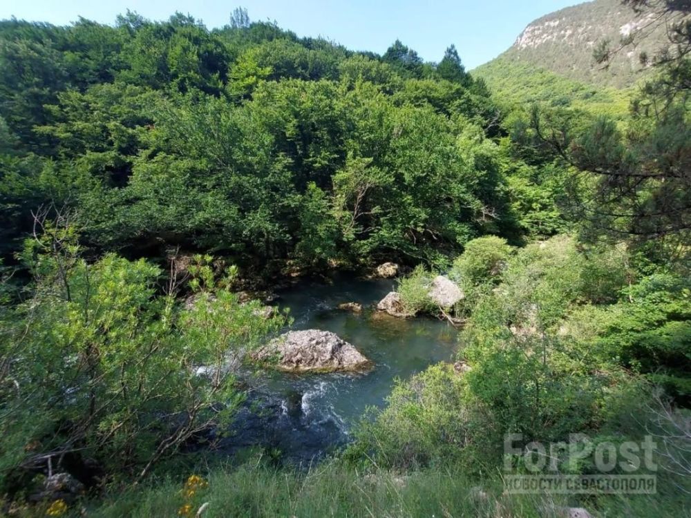 ��������������� �������� ������������ ������ �����������