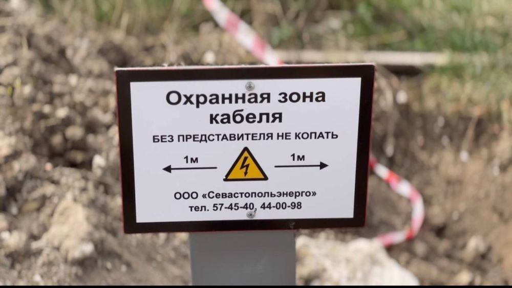 ������������������ �������� �������� ����������� � ��������� ����� � �� 49%