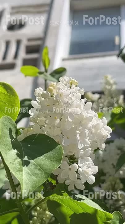 ����� ������ ��������� � ����������� �������� �����������