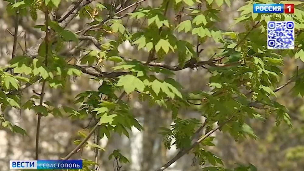 � ����������� �������� ���������� � ���������� ������ �� ��������� �������� ���������