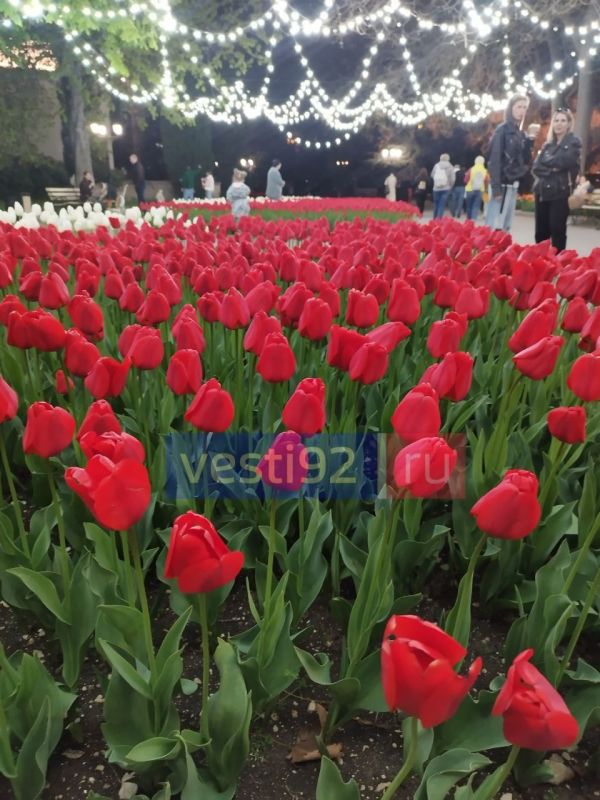 ������ ����, �����������! �������� ����� ��� ��� �� ��������