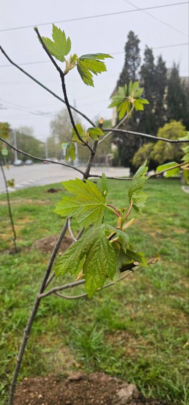 �� ����� ���������� � �������� ��������� 17-�� ����������� �������� 8 �����