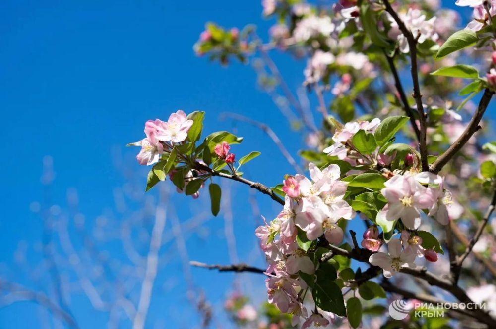 ������� ������ � ����� �� �������