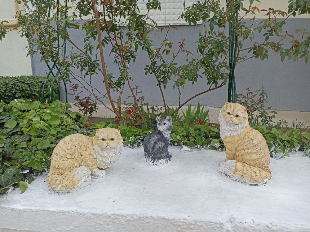 ��� ������ ����������� ������� ��� � ����� �����