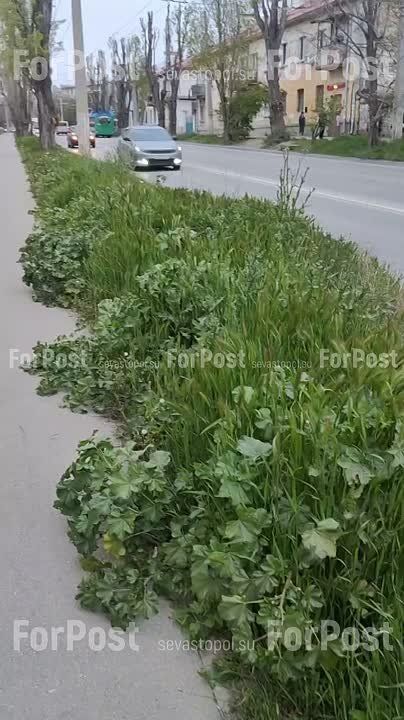 #���_�����. ������� ����� "������ ���"