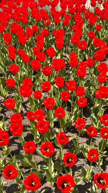 � ����������� ������� � ������������, ����� ��� �������, ���� ��������� �����