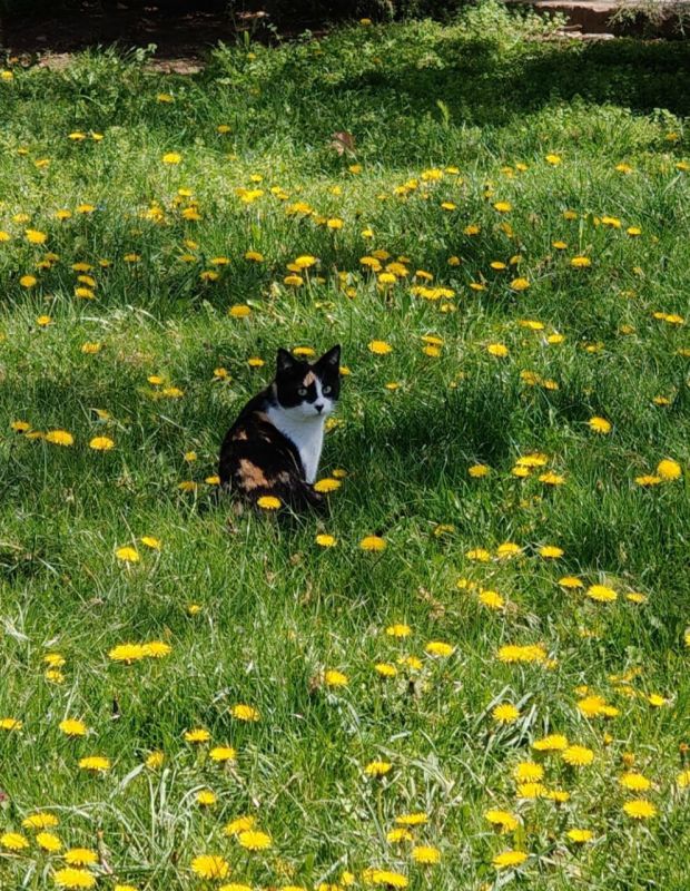 ������� ���������� ����!. � ����������� ����� �����, ���� ��������� �����