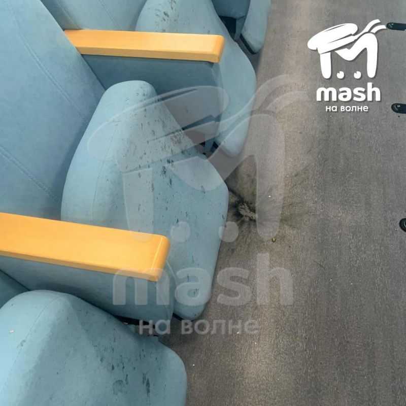 ����������, ��� �������� �� ������������� �������, ������� ���������� � ��������������� �����