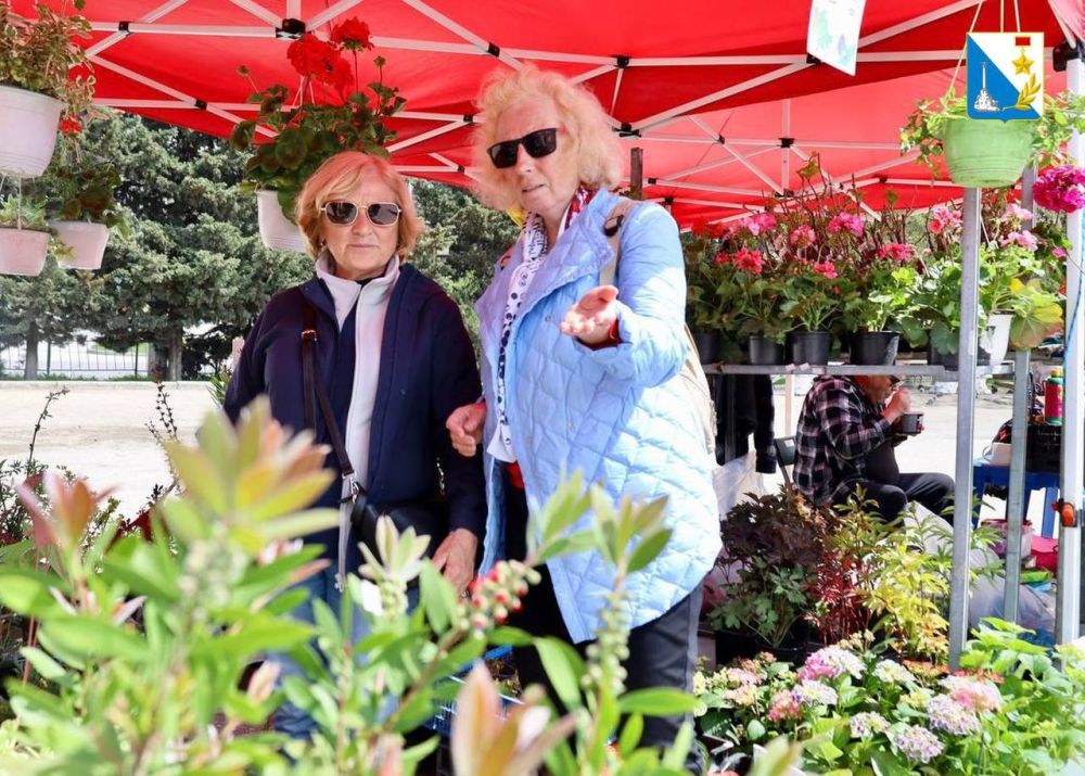 ������� �� ����������, ����������� �������� � ��� �������� ��������� � �����������