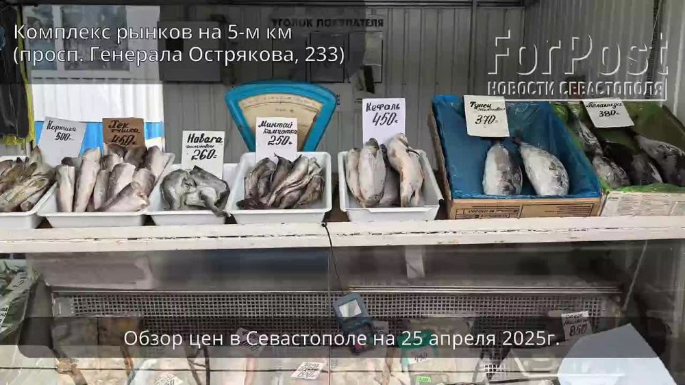 ������ ������������ ������������ ����� ��� � �����������