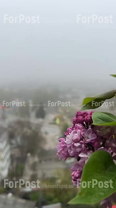 ������ �� ������ �������� �����������