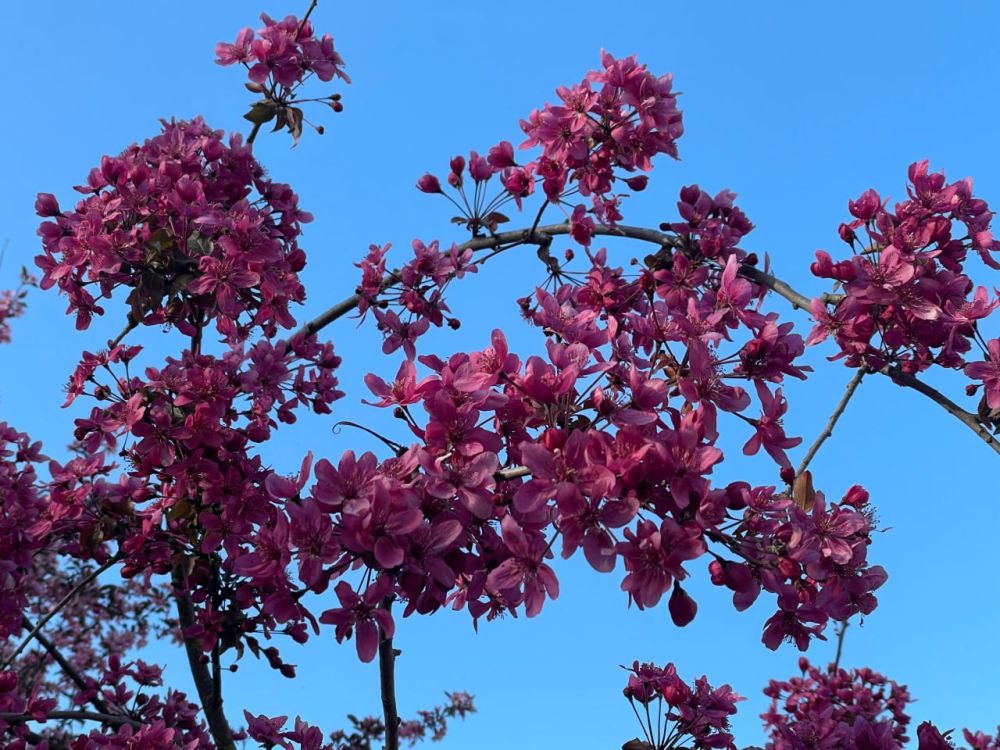 ������� ������ � ����� �� 25 ������