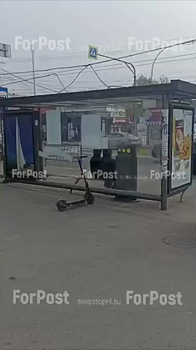 ���������� ���������������� ����������� ������� �� �������� ���������� ��������� ����� ��������� ���� � �� �������� � ����������� �������� ���������