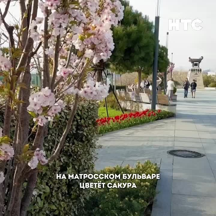 ����������, ��� �� ���������� �������� ����� ������