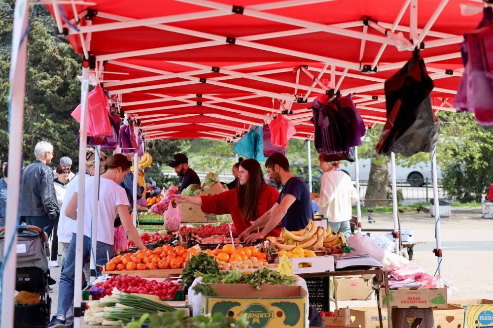 � ����������� ��������� ��������������� ������� �����������������