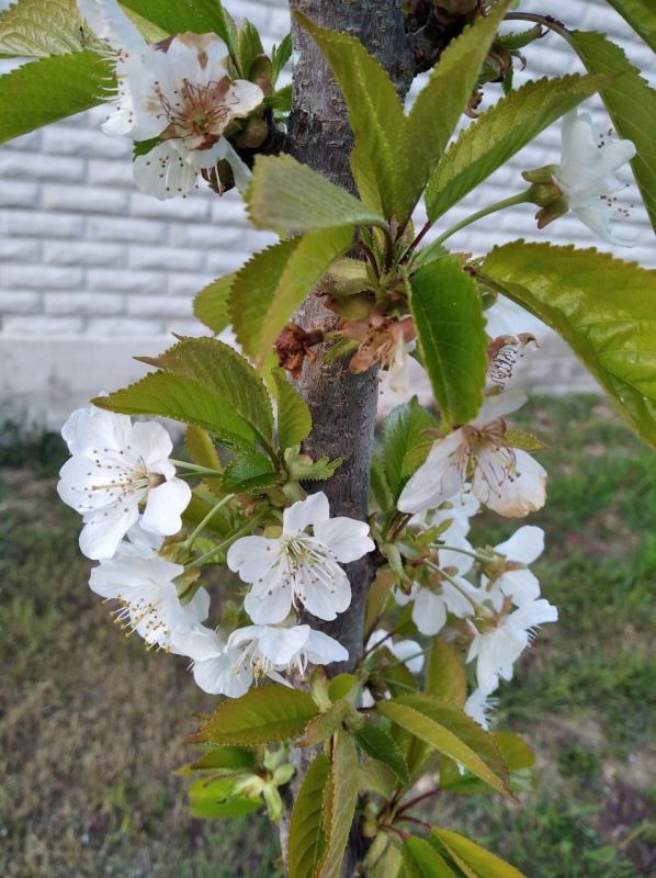 #��� ��� ������?. ����� �������� ���� �����, �������� �� ���� ����������� �������