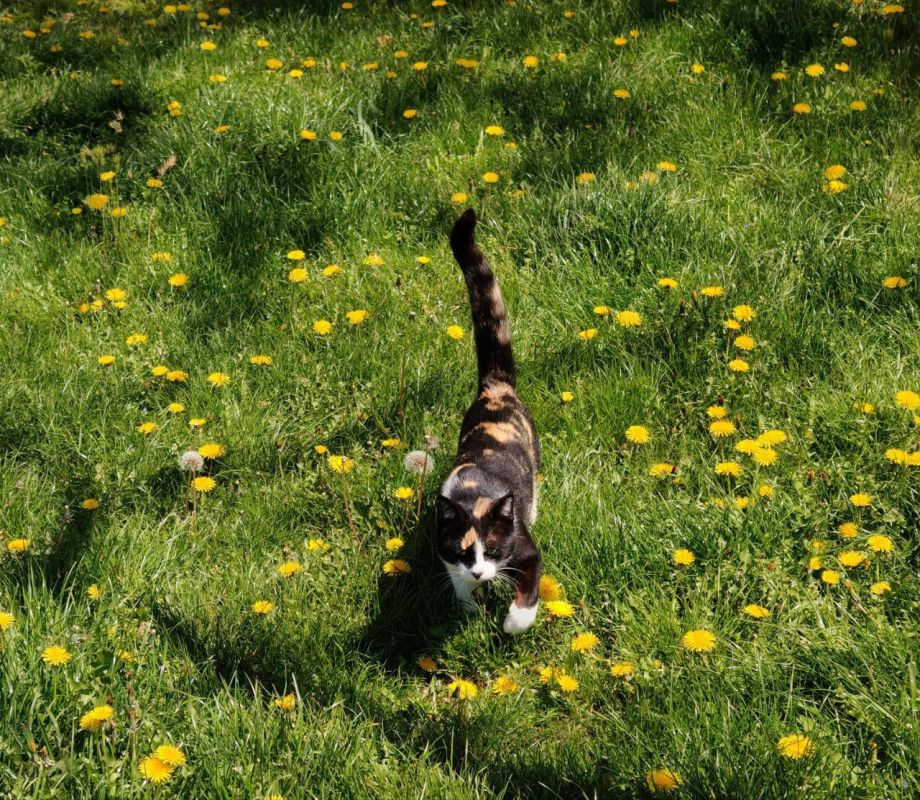 ������� ���������� ����!. � ����������� ����� �����, ���� ��������� �����