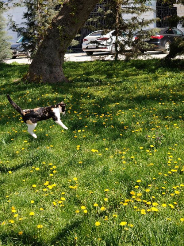 ������� ���������� ����!. � ����������� ����� �����, ���� ��������� �����