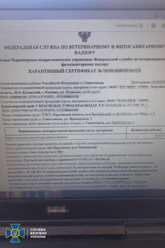 ��� ������: ׸���� ����. ��� �������� �� ��� � ���� � ��������� ����� "�������� �����" ������, ������� �������� ����� �� ����� �������� ���������� ������� ������� ������ ��������������� � ��� � � ������ ����������� ���...