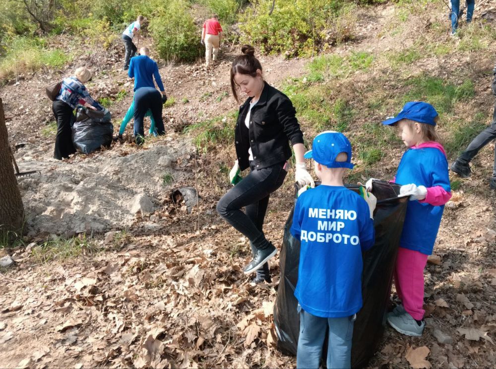 �������� ��������: ������� ���������� �������� ����������� � ������������� �����������, ������������� � �������� ����� N 50 ��������� ������ ���������� ������ ���� � ������ ����� �������� �������� � ������ ��������������...