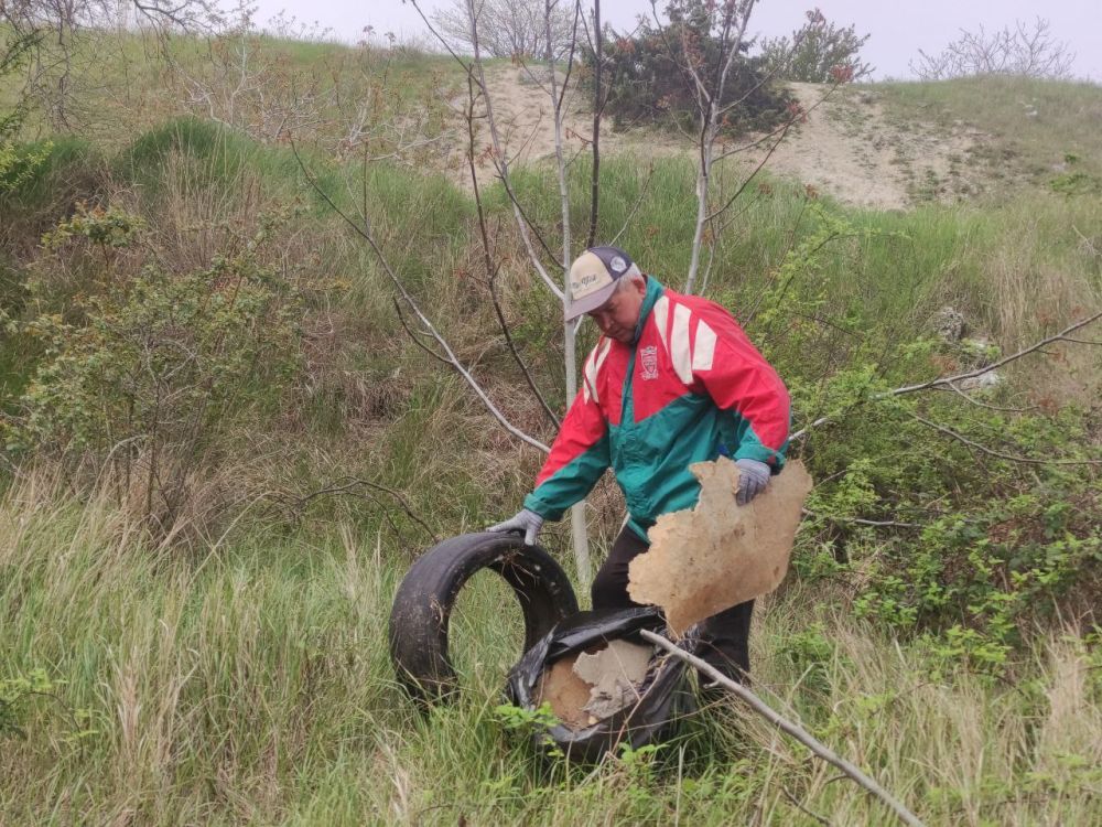 ����������� ������������ ������������ ���������� ������� ����� � ��������������� �������� ������