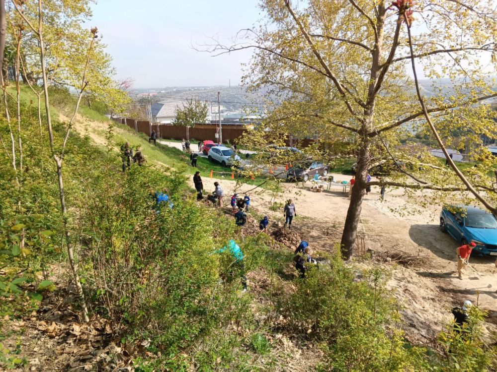 �������� ��������: ������� ���������� �������� ����������� � ������������� �����������, ������������� � �������� ����� N 50 ��������� ������ ���������� ������ ���� � ������ ����� �������� �������� � ������ ��������������...