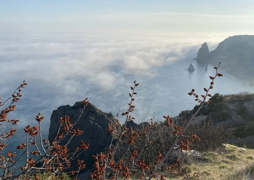 Севастополь продолжают укрывать густые туманы