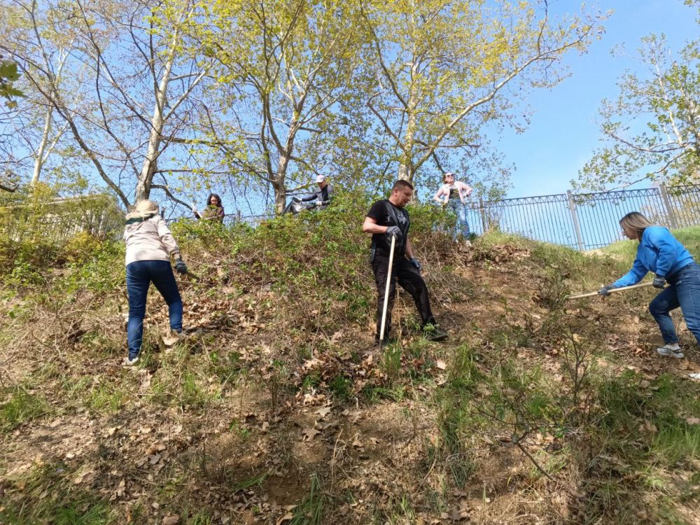 �������� ��������: ������� ���������� �������� ����������� � ������������� �����������, ������������� � �������� ����� N 50 ��������� ������ ���������� ������ ���� � ������ ����� �������� �������� � ������ ��������������...