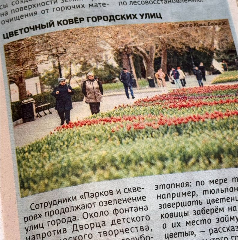 Цветочный ковер городских улиц