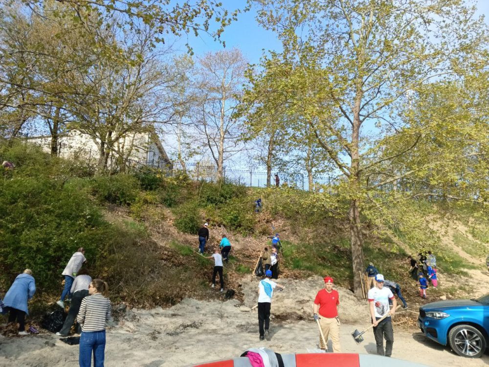 �������� ��������: ������� ���������� �������� ����������� � ������������� �����������, ������������� � �������� ����� N 50 ��������� ������ ���������� ������ ���� � ������ ����� �������� �������� � ������ ��������������...